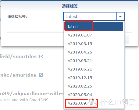 群晖SmartDNS+AdGuardHome实现安全上网加速与去广告
