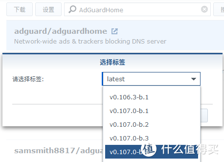 群晖SmartDNS+AdGuardHome实现安全上网加速与去广告