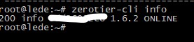 群晖DSM7安装Docker版Zerotier教程(官方版)