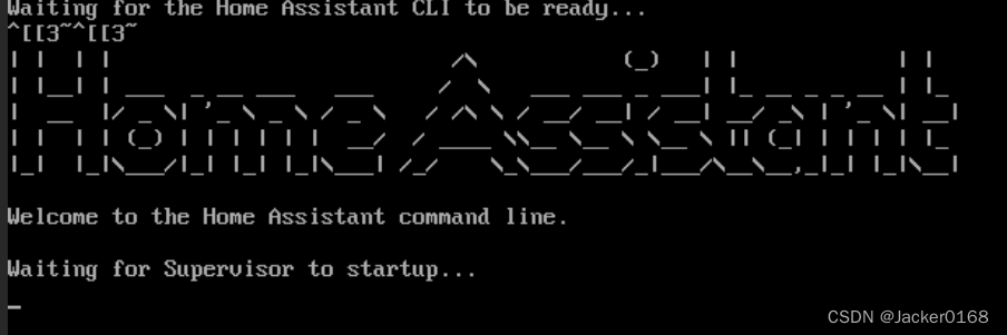 黑群辉VMM安装Hassio(Home Assistant Supervised)(基于DSM7.0)