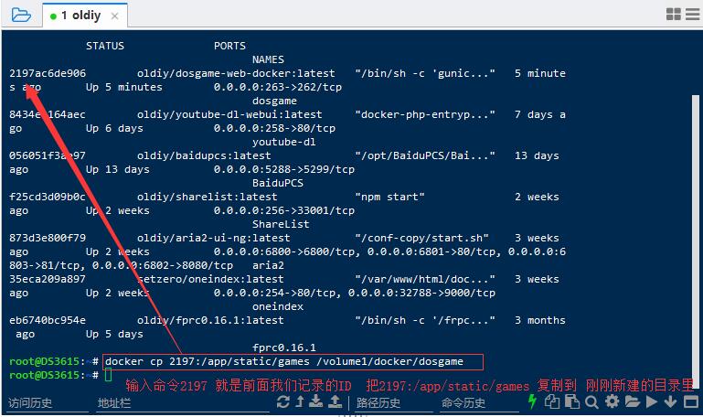 在群晖里玩Dos游戏,没错!使用Docker就可以自建一个web版的dos游戏库!