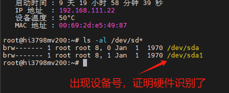 海纳思 入门指南-磁盘挂载