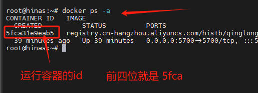 海纳思 进阶指南-docker使用