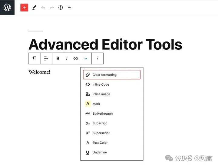 WordPress编辑器增强插件推荐:Advanced Editor Tools